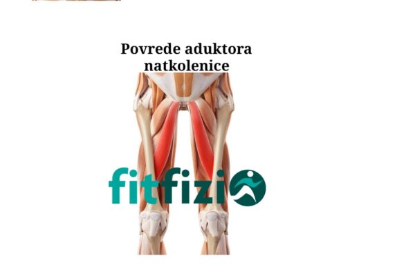 Povrede mišića aduktora buta